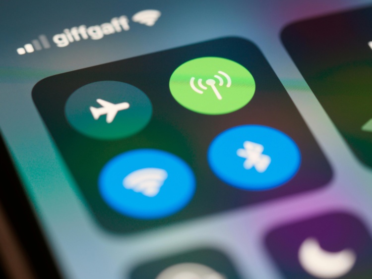 pexels-brettjordan-5703425