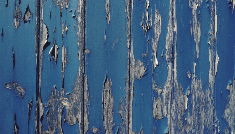 pexels-suzyhazelwood-2096543